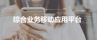 综合业务管理平台